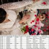 Beriston Wedding Season 1 Designer Lehenga Choli